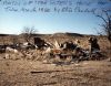 image of Ox ranch (ruins)