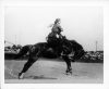 image of Jessy Roberts at Scottsbluff, Neb., rodeo