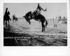 image of Garfield Daniels on bucking mule at North Platte, Neb., rodeo