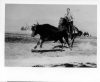 image of Ray Bell steer roping